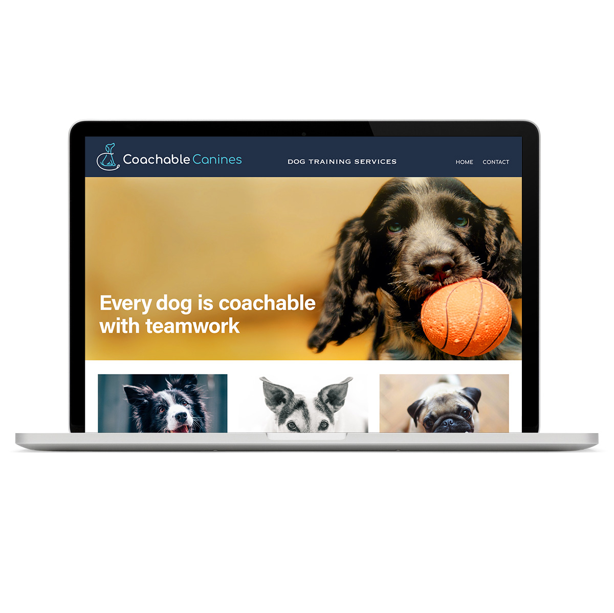Coachable Canines: Squarespace Web Design